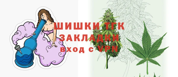 молекула духа Вяземский