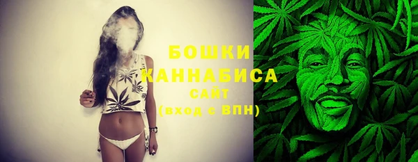 молекула духа Вяземский