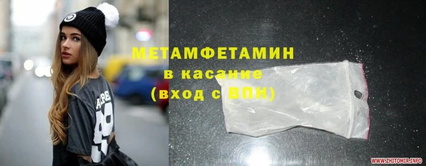 молекула духа Вяземский