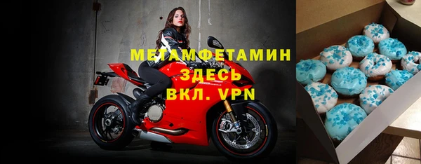 молекула духа Вяземский