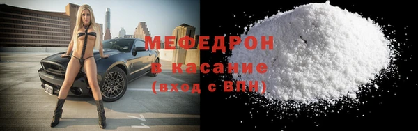 молекула духа Вяземский