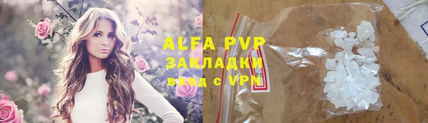 молекула духа Вяземский