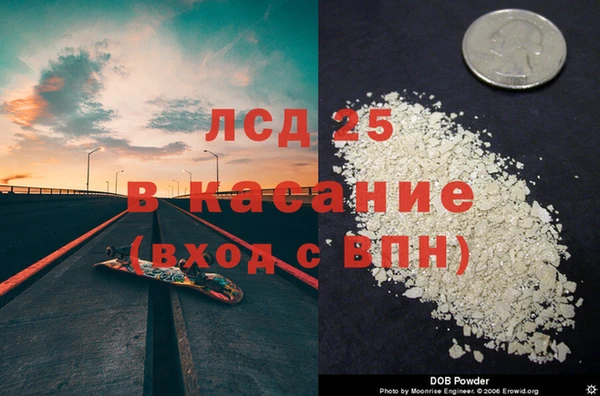 молекула духа Вяземский