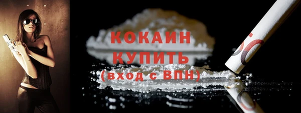 молекула духа Вяземский