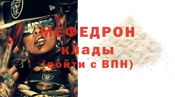 молекула духа Вяземский