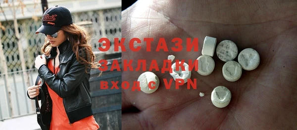 молекула духа Вяземский