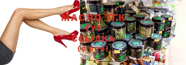 молекула духа Вяземский
