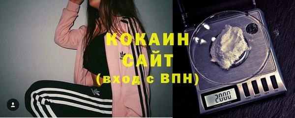 молекула духа Вяземский