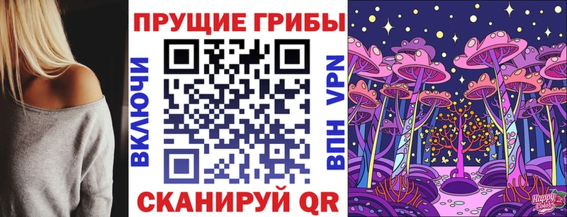 Псилоцибиновые грибы Cubensis  Купить закладки  Кириллов 